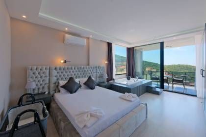 Villa Hanlı 1