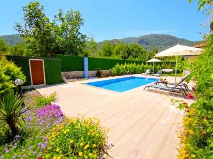 Villa Limon
